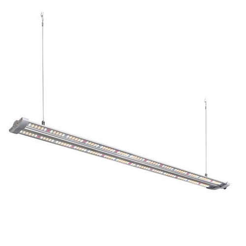 Hortimol Grow TLED 60W