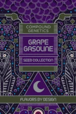Purpel Preserves Feminized 7Seeds