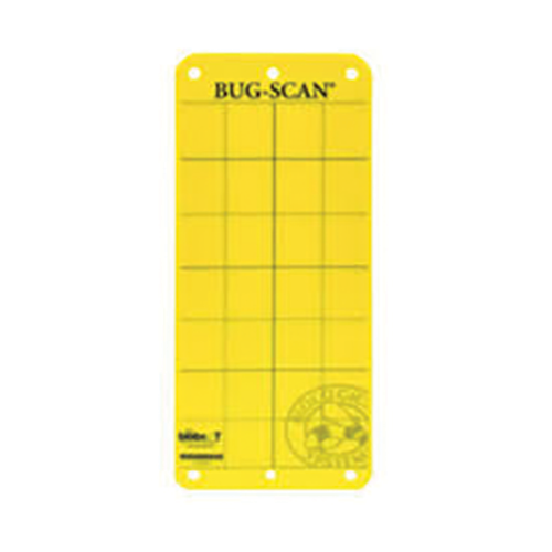 Fliegen fang streifen