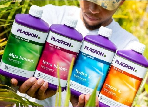 Plagron