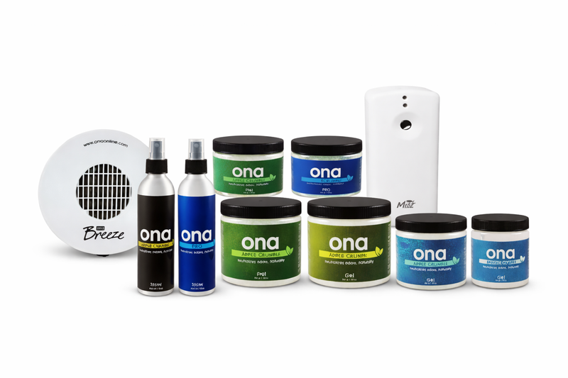 Ona