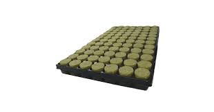 Plüggen & Propagator