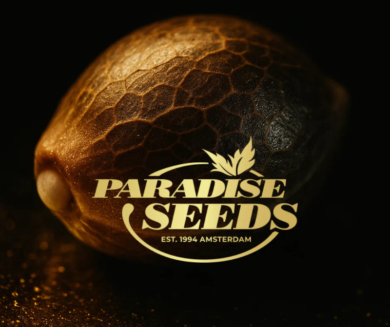 Paradise Seeds🏆