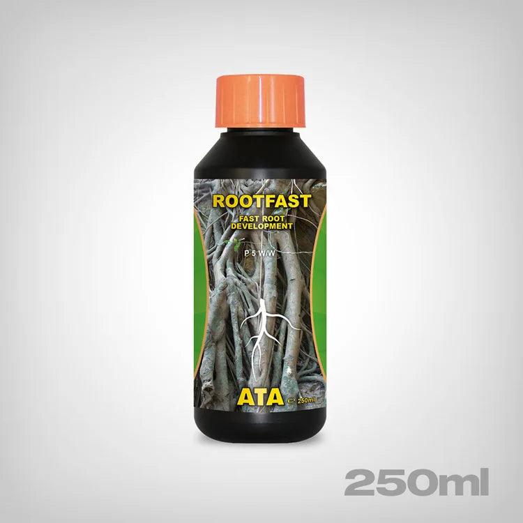 Atami Ata Rootfast