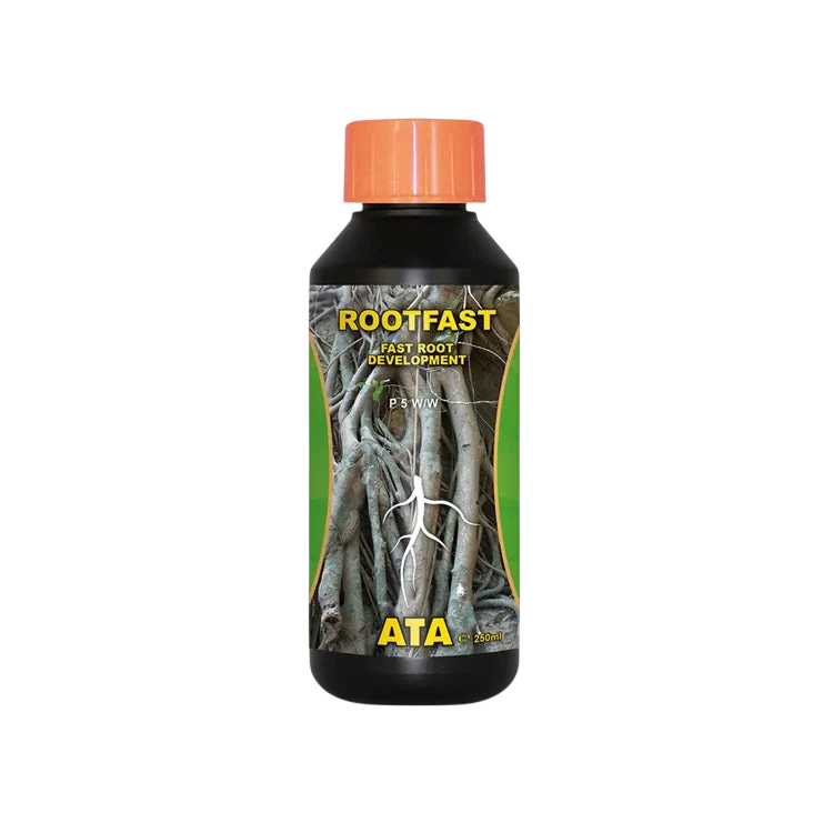 Atami Ata Rootfast