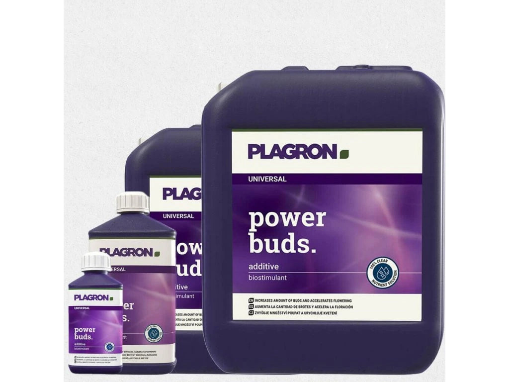 Plagron Power Buds