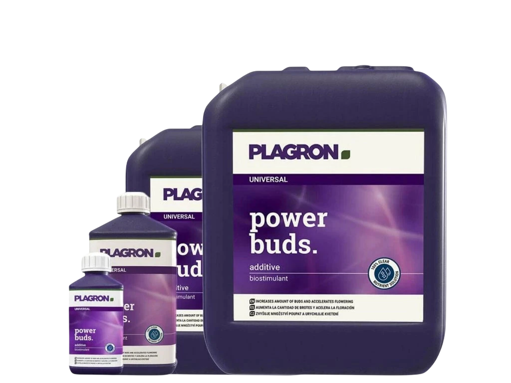 Plagron Power Buds