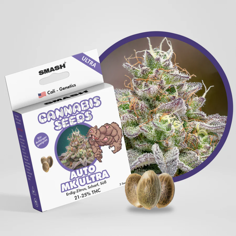 "MK Ultra" Autoflower 21-25% THC, 3er Packung