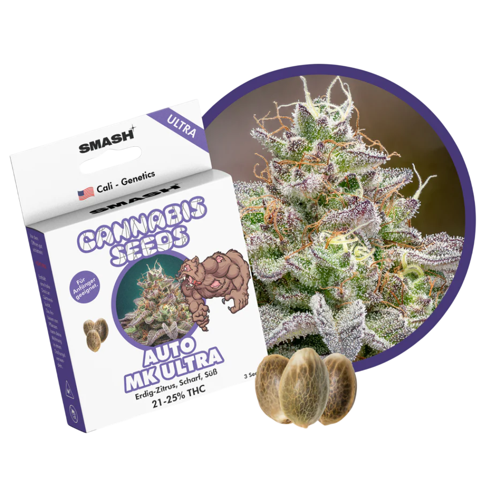 "MK Ultra" Autoflower 21-25% THC, 3er Packung