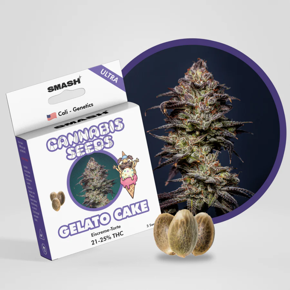 "Gelato Cake" Autoflower 21-25% THC, 3er Packung