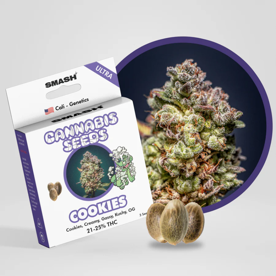 "Cookies" Autoflower 21-25% THC, 3er Packung