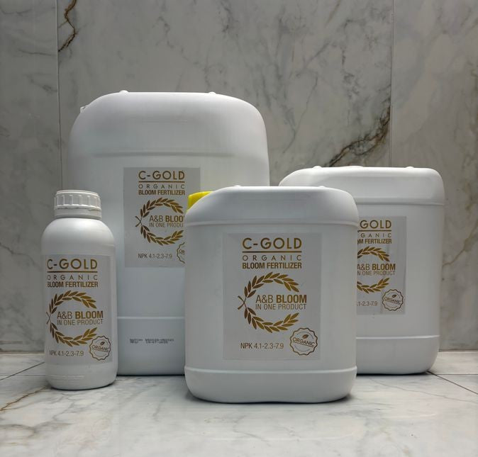 C-Resut C Gold