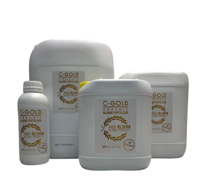 C-Resut C Gold