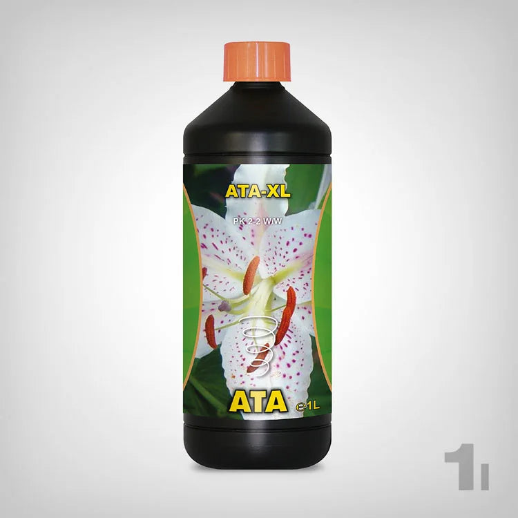 Atami Ata XL