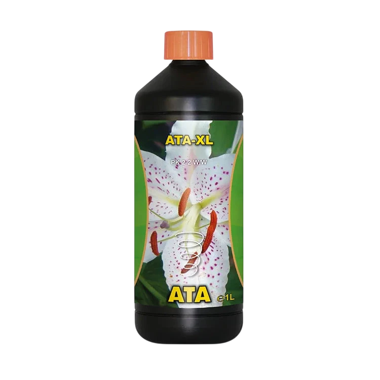 Atami Ata XL
