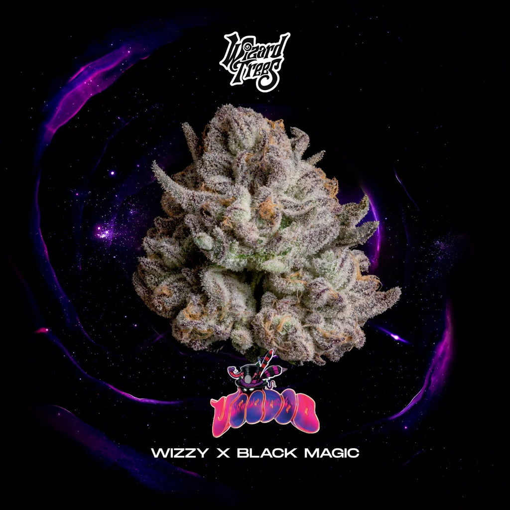 Wizzard Trees , Voodoo , 3 Seeds