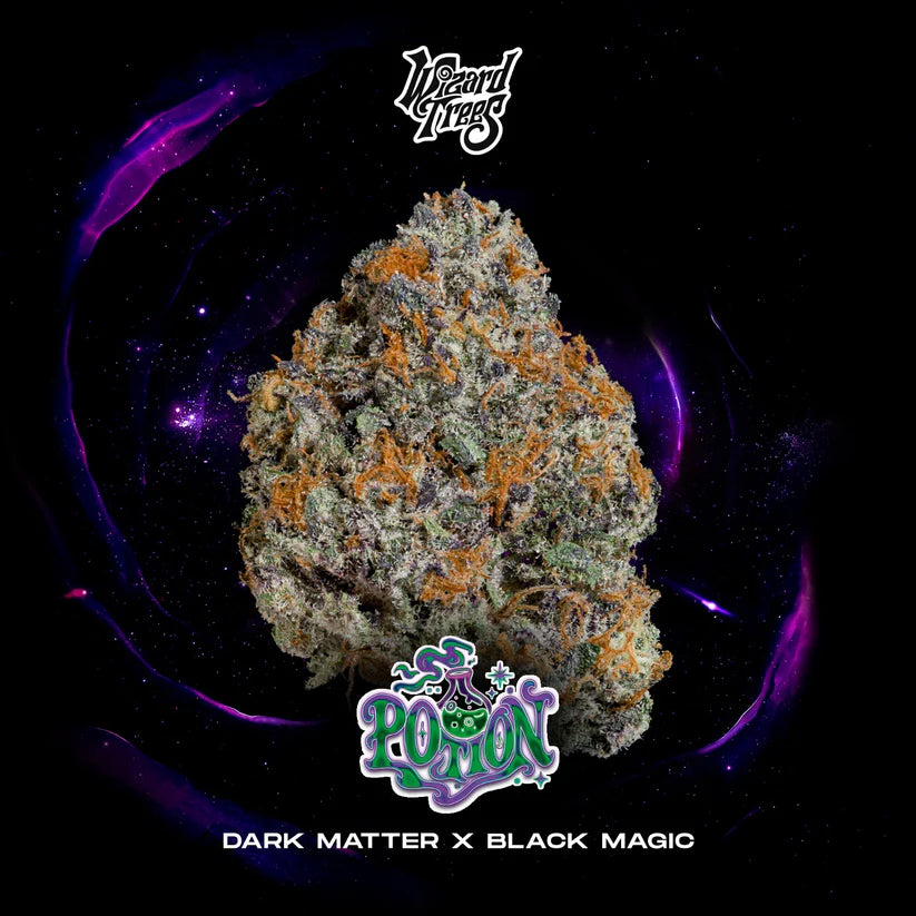 Wizard Trees Genetics🏆Potion,3 Seeds, Fem.