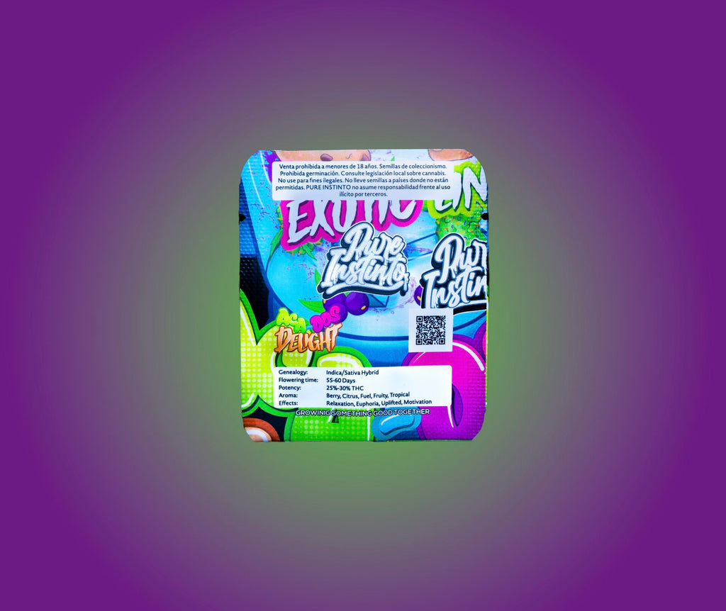 Aca-Dos Delight feminisiert, 1Seeds