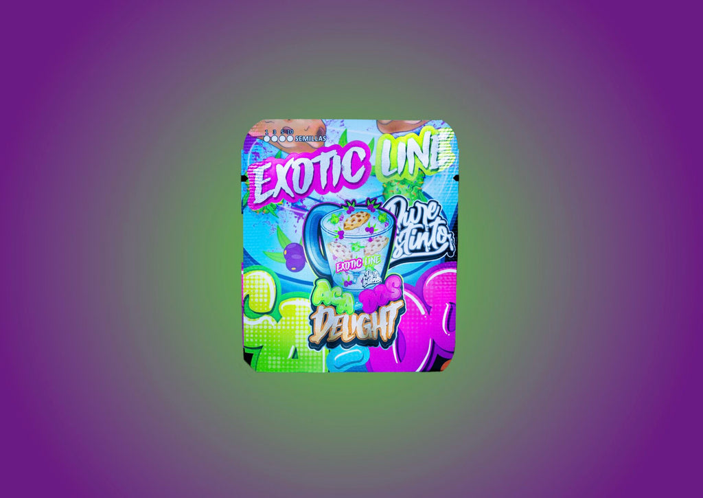 Aca-Dos Delight feminisiert, 1Seeds