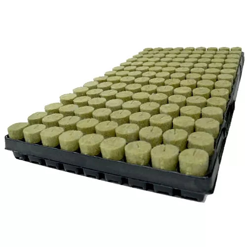 Agra-Wool BASIC 38/40mm Plug Tray 84st. (11st/Karton)
