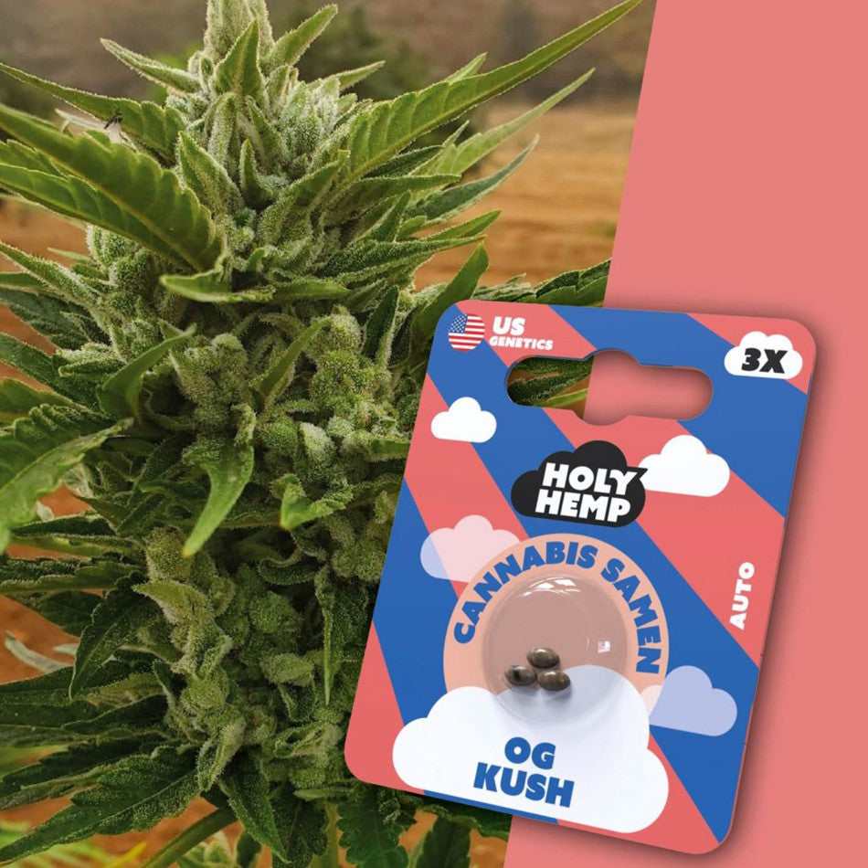 OG Kush 3 Stück