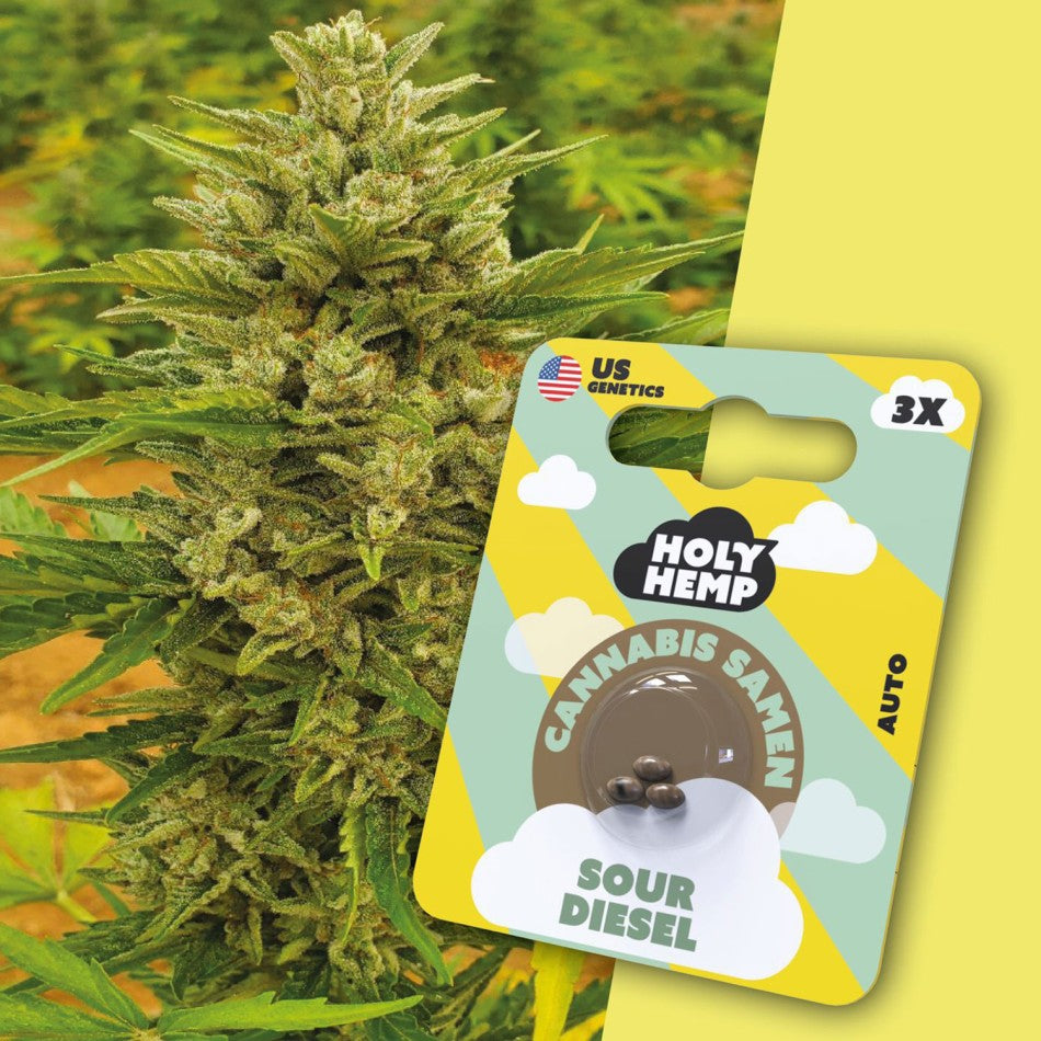 Sour Diesel 3 Stück