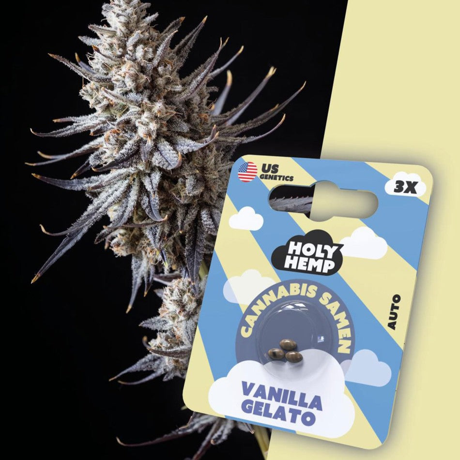 Vanilla Gelato 3 Stück