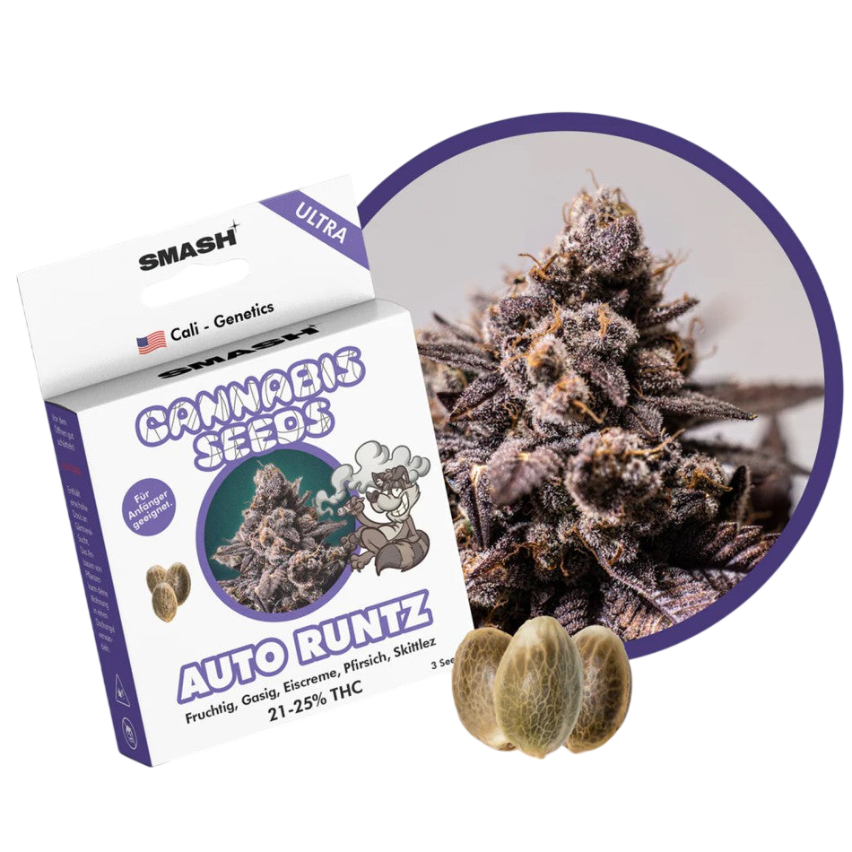 "Auto Runtz" | 21-25% THC | Ultra Genetic | 3 Samen