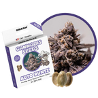"Auto Runtz" | 21-25% THC | Ultra Genetic | 3 Samen