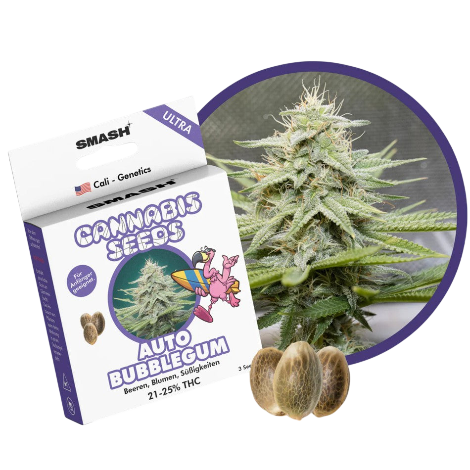 "Auto Bubblegum" | 21-25% THC | Ultra Genetic | 3 Samen