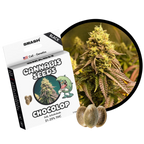 "Chocolop" | 21-25% THC | Black Genetic | 3 Samen
