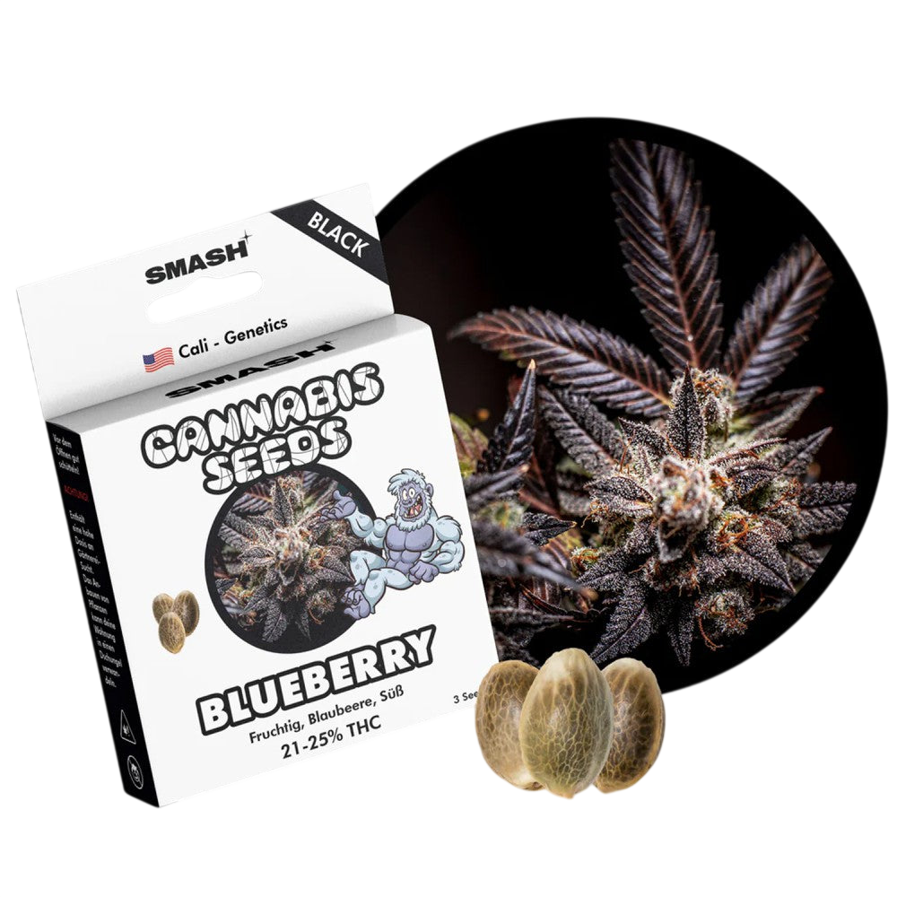 "Blueberry" | 21-25% THC | Black Genetic | 3 Samen