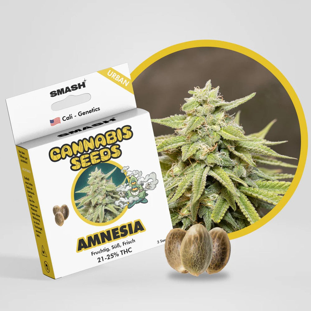 "Amnesia" | 21-25% THC | Urban Genetic | 3 Samen