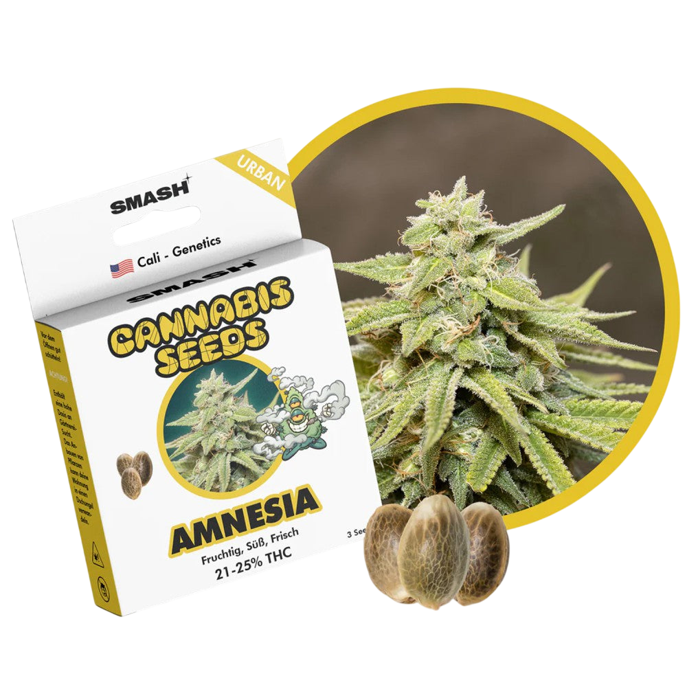 "Amnesia" | 21-25% THC | Urban Genetic | 3 fara