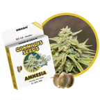 "Amnesia" | 21-25% THC | Urban Genetic | 3 Samen