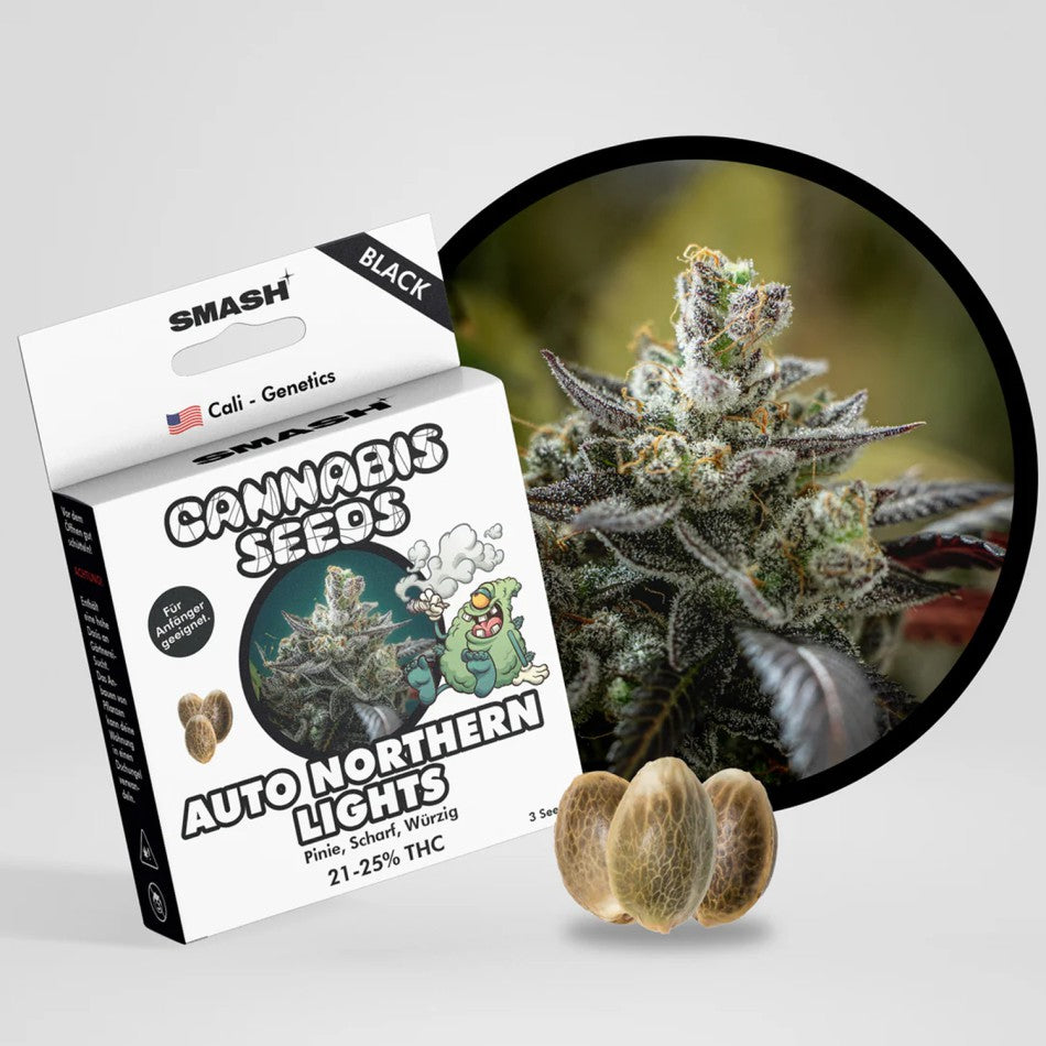 "Auto Northern Lights" | 21-25% THC | Black Genetic | 3 Samen