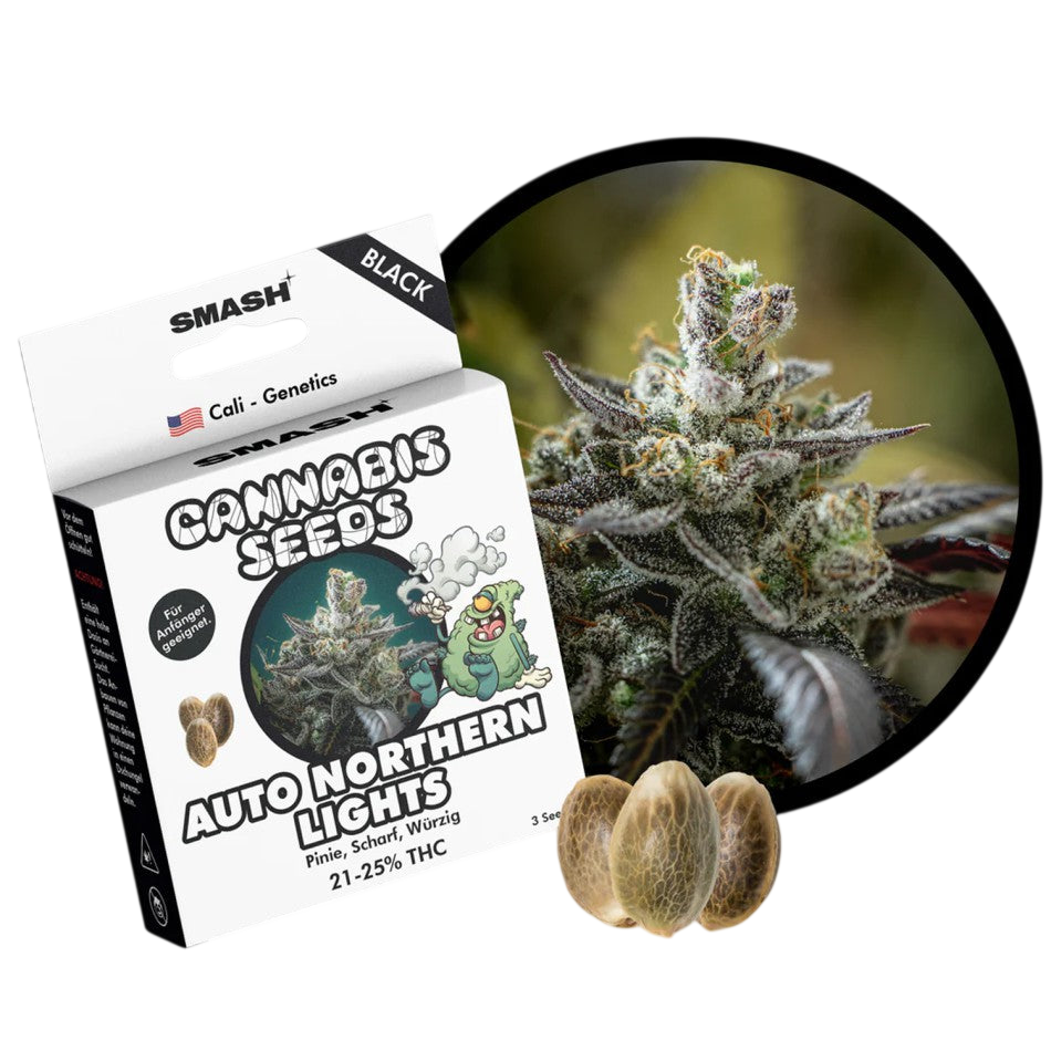 "Auto Northern Lights" | 21-25% THC | Black Genetic | 3 Samen