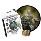 "Auto Northern Lights" | 21-25% THC | Black Genetic | 3 Samen