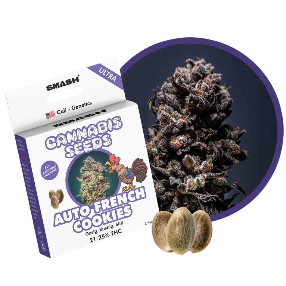 "Auto French Cookies" | 21-25% THC | Ultra Genetic | 3 Samen
