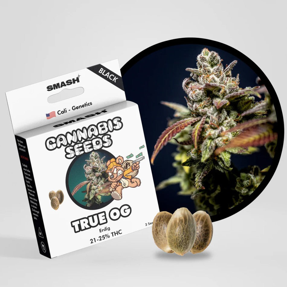 "True OG" | 21-25% THC | Black Genetic | 3 Samen