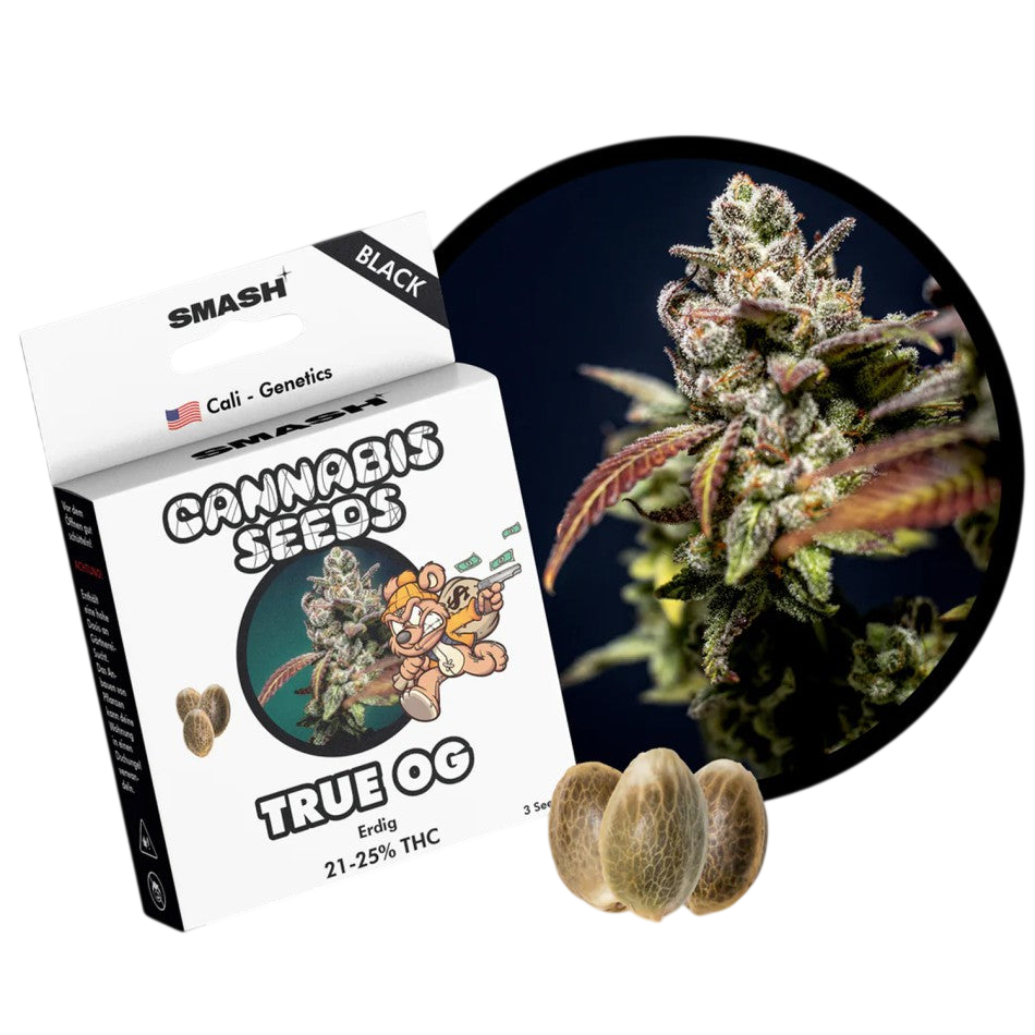 "True OG" | 21-25% THC | Black Genetic | 3 Samen