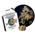 "True OG" | 21-25% THC | Black Genetic | 3 Samen