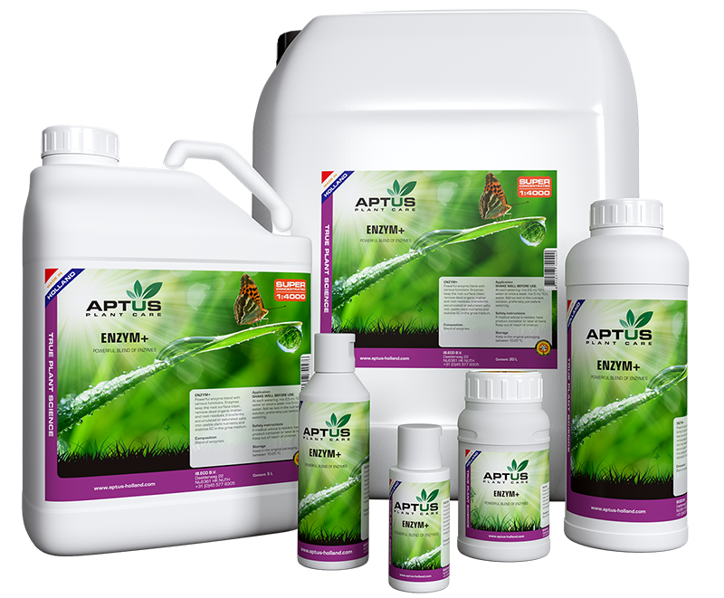 Aptus Enzym+