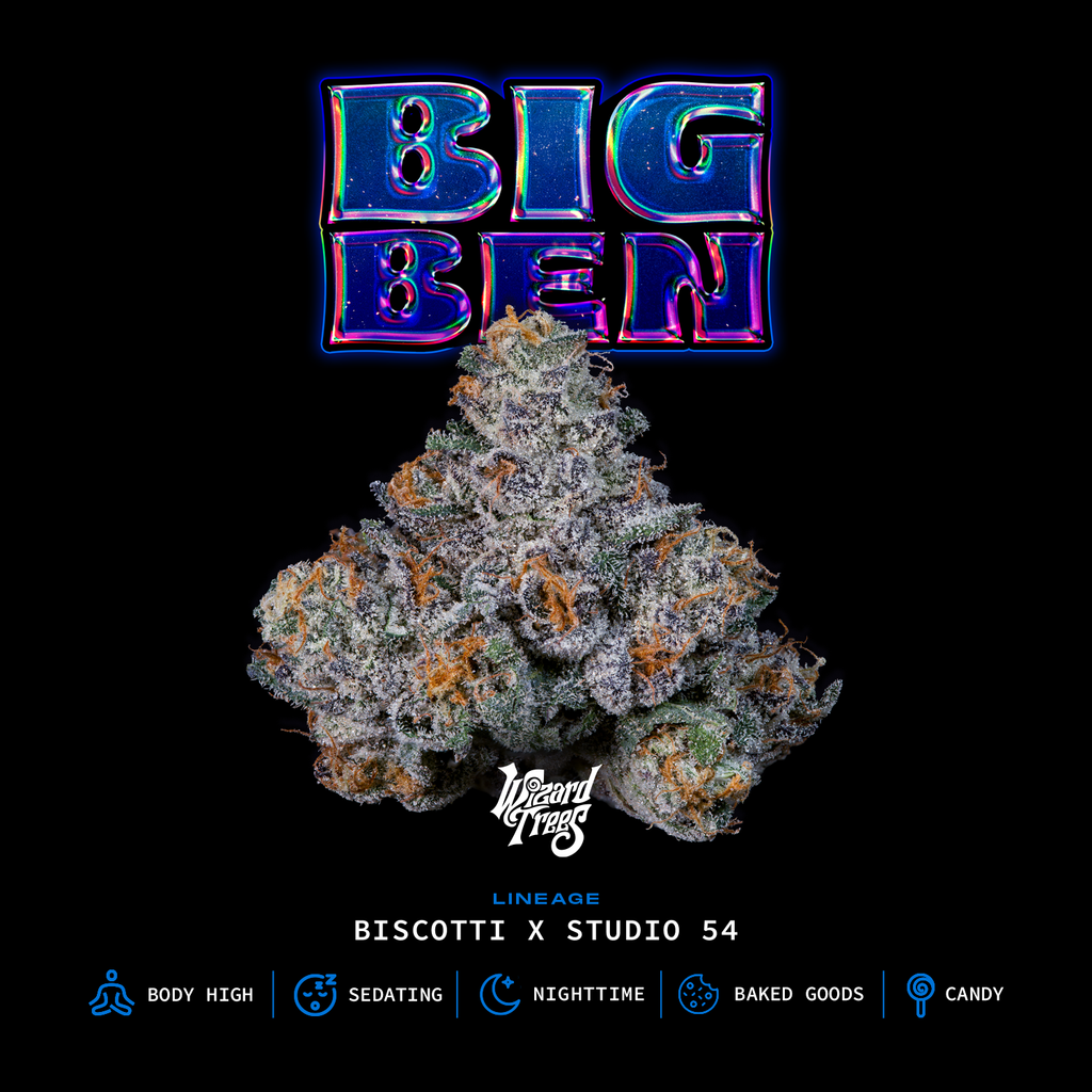 BIG BEN🏆Feminized 3 Seeds