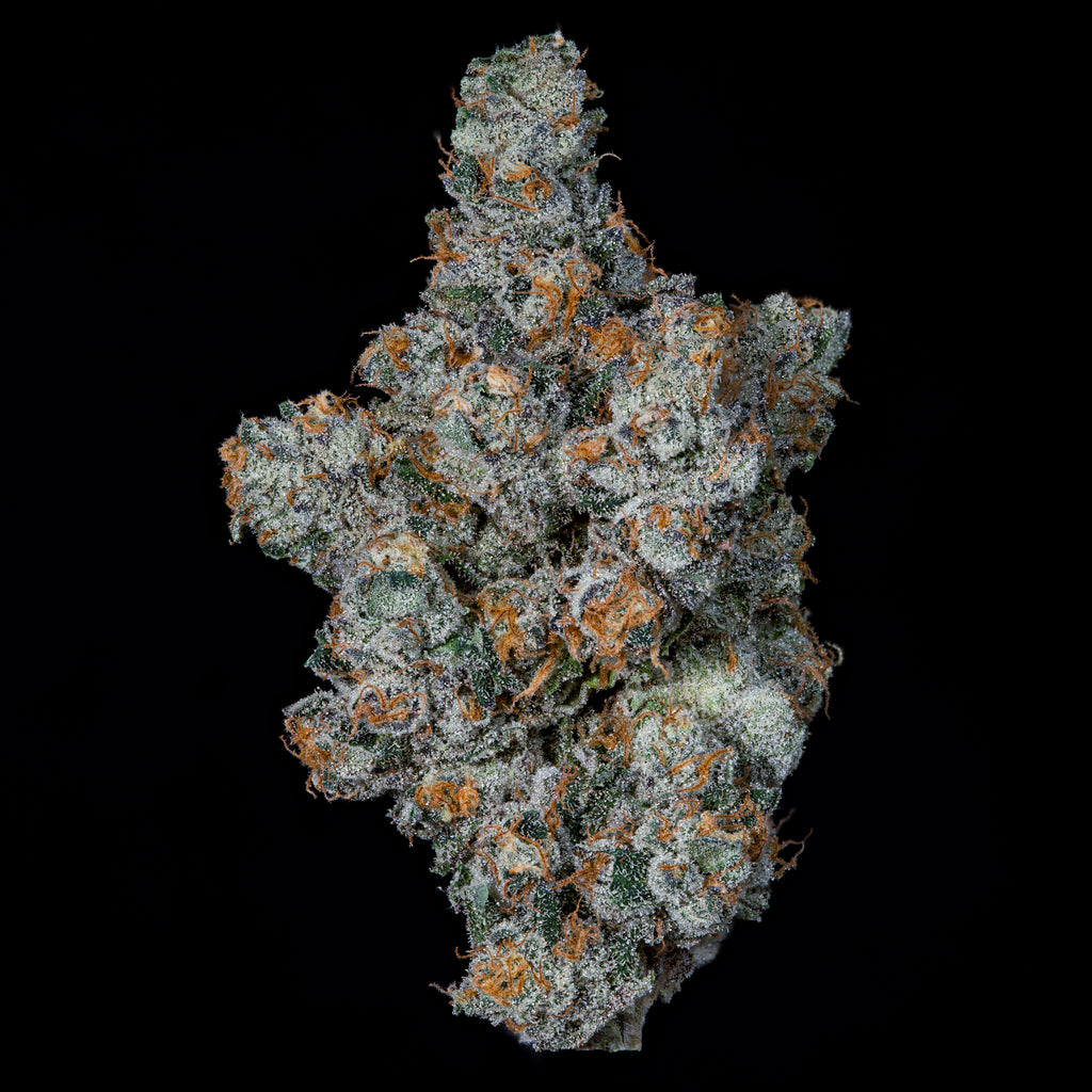 BIG BEN🏆Feminized 3 Seeds