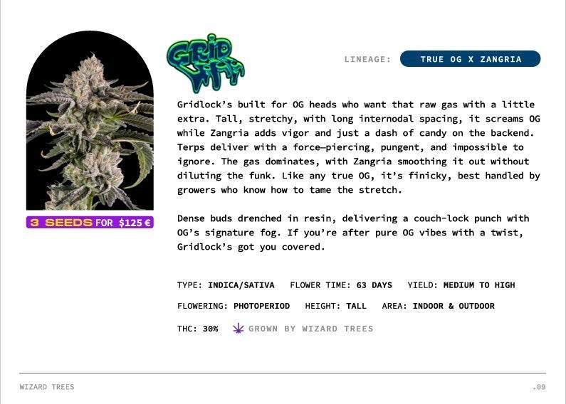 Gridlock 🏆Feminized 3Seeds