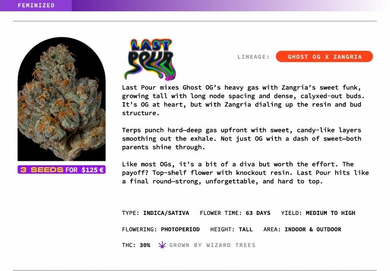 Last Pour 🏆Feminized 3 Seeds