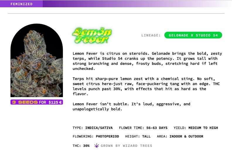 Lemon Fever🏆Feminized 3 Seeds