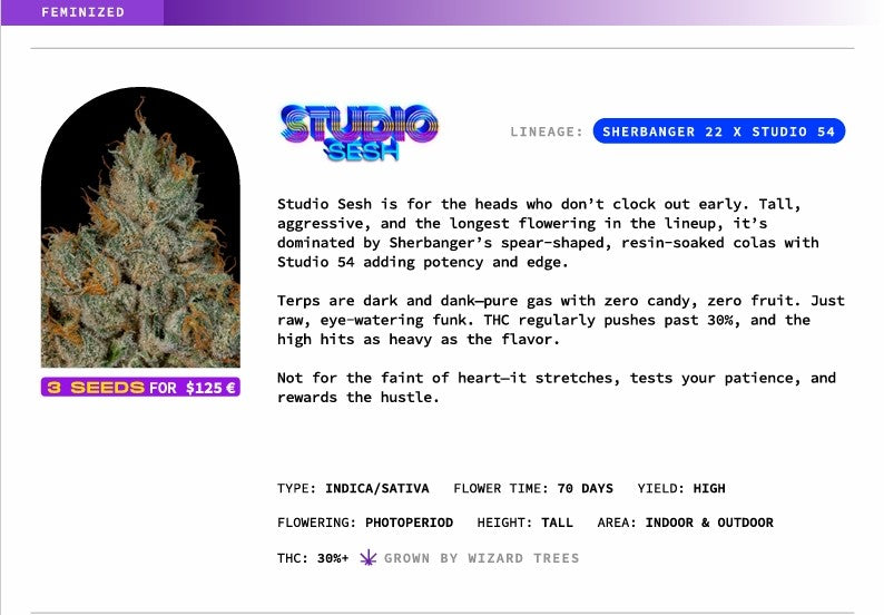 Studio Sesh 🏆 Feminized 3 Seeds