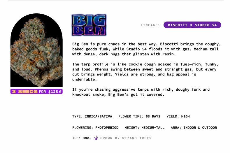 BIG BEN🏆Feminized 3 Seeds